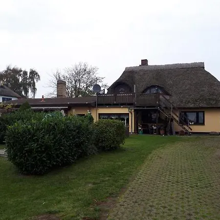 Traudi's Huesing Born